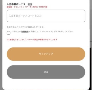 エルドアカジノ　プロモーションコード欄